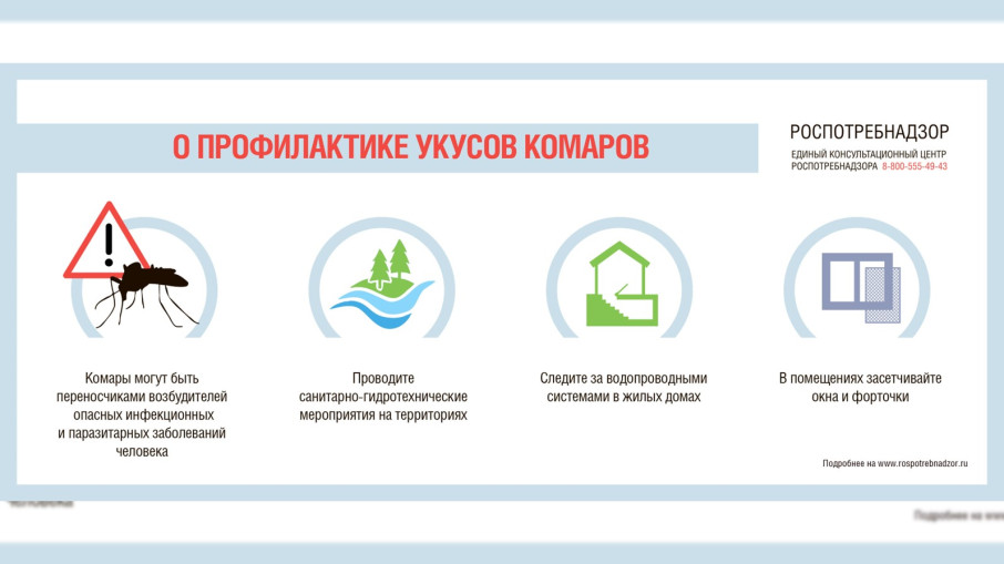 Профилактика укусов комаров Профилактика укусов комаров.